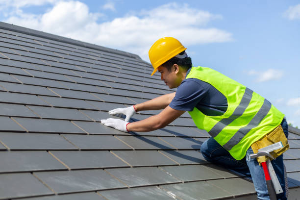 Best Roof Gutter Cleaning  in Saegertown, PA