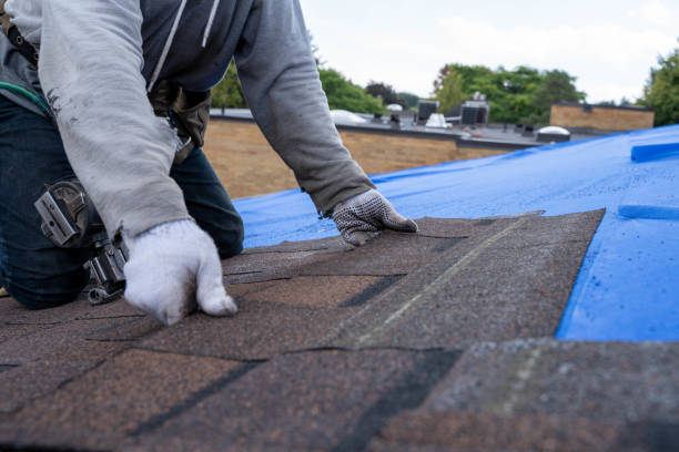Best Roof Restoration Services  in Saegertown, PA