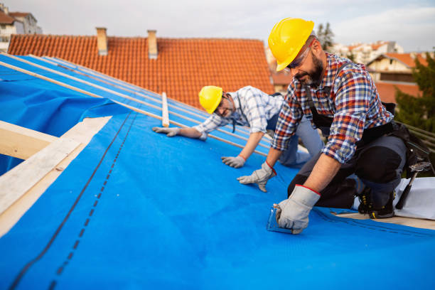 Professional Roofing Contractor in Saegertown, PA